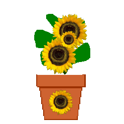 DVenusFlower.gif (11305 bytes)