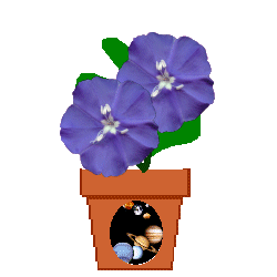 Dcelestialfinishedflower.gif (12676 bytes)