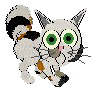 Dewey.gif (5307 bytes)