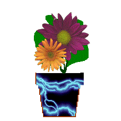 Flowerstorm.gif (9489 bytes)