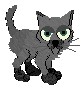 Gray-Kitten.jpg (4078 bytes)