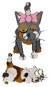 KittyandJammer.jpg (8860 bytes)
