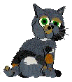 Squirt.gif (6000 bytes)