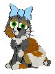 chrysie.gif (5367 bytes)