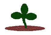 cloverdone.gif (2278 bytes)