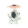 dalmationflower.gif (10402 bytes)