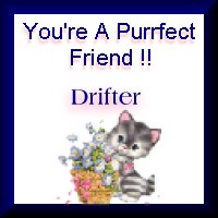 drifterfriend.jpg (9944 bytes)