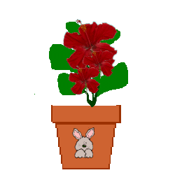 flwr.gif (8203 bytes)