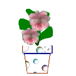 flwrdvenusbubles.gif (7275 bytes)