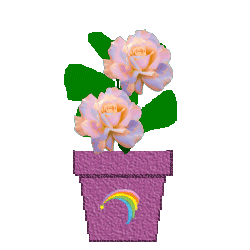 flwrrainbow.gif (14040 bytes)