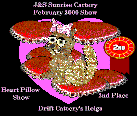 helga2ndHeartPillowFeb2000.gif (20122 bytes)