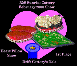 nala1stHeartPillowFeb2000.gif (17618 bytes)