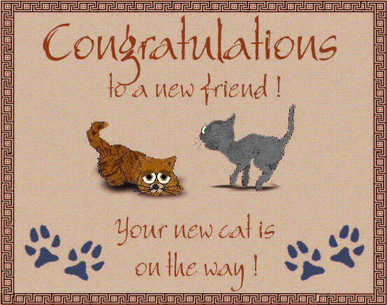 newcatz.gif (86243 bytes)